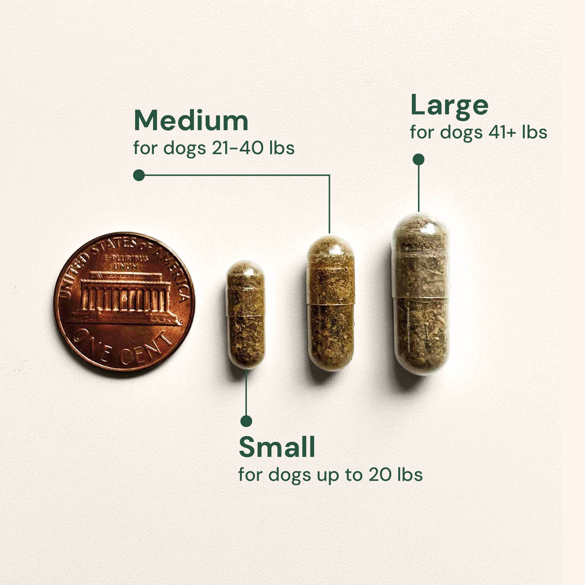 AB-EM_GutRestore_CapsuleSize.jpg