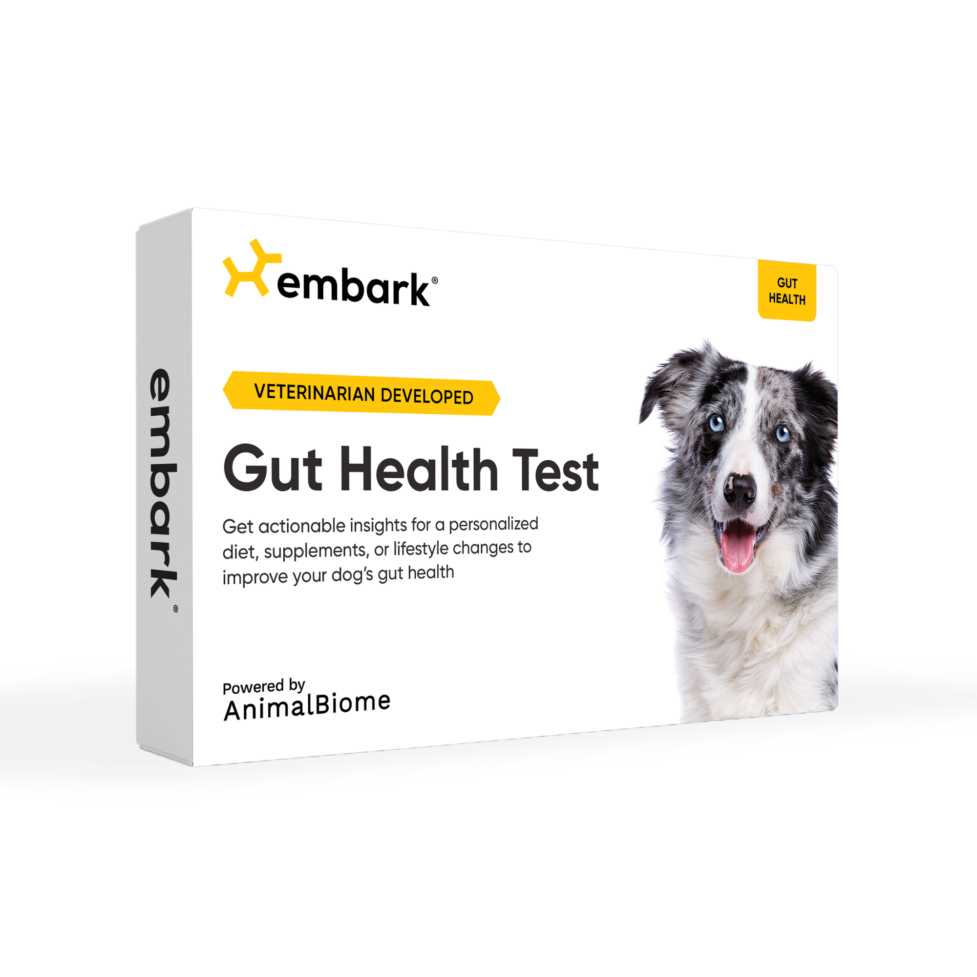ABEM-GutHealthTest_Main_2000x2000_28cb64d1-ca14-4ec4-9b4e-b5d791a4c3c6.png