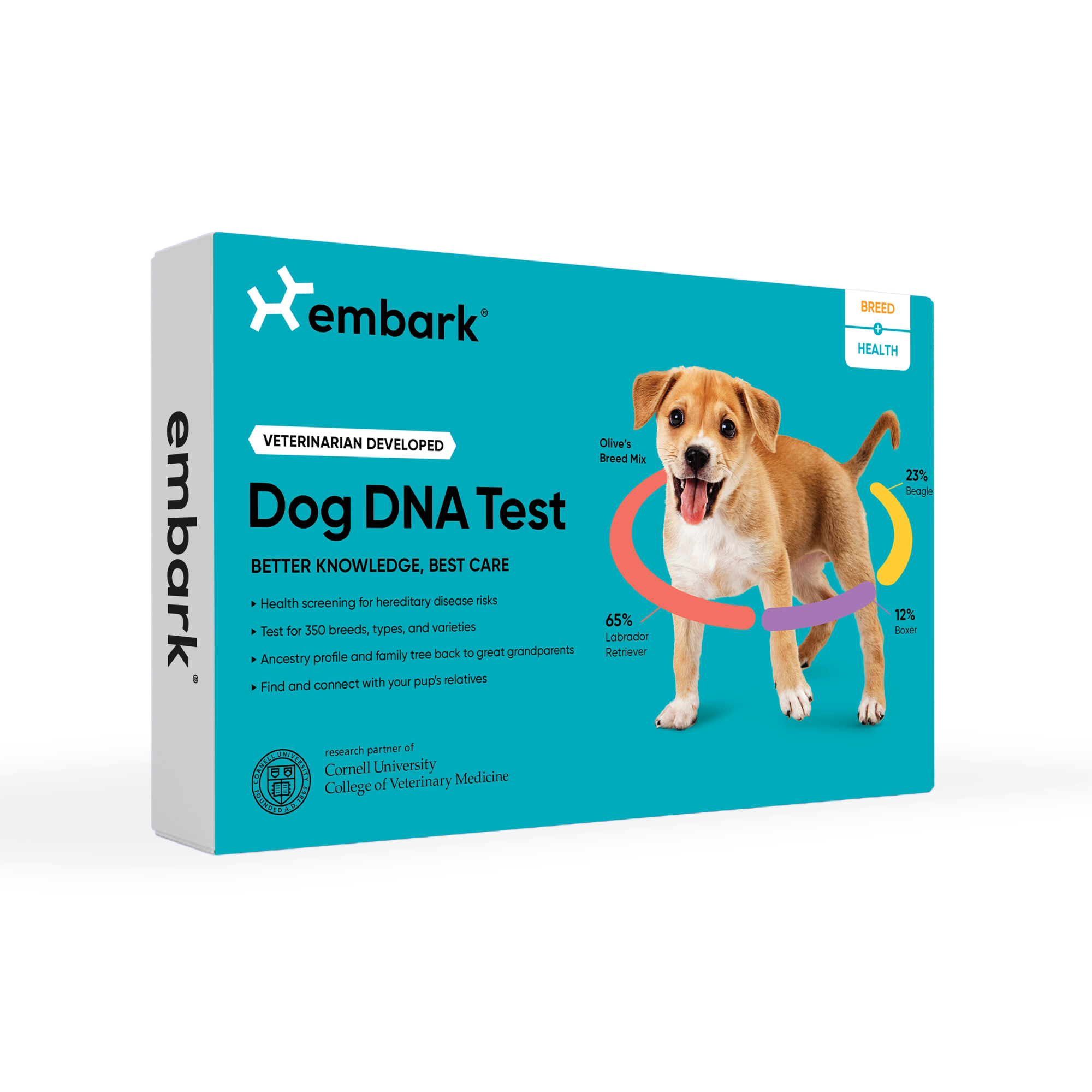 DNA_Main_2000x2000_7f5c8368-e7c5-4b75-9cb5-51a0e27accd6.png
